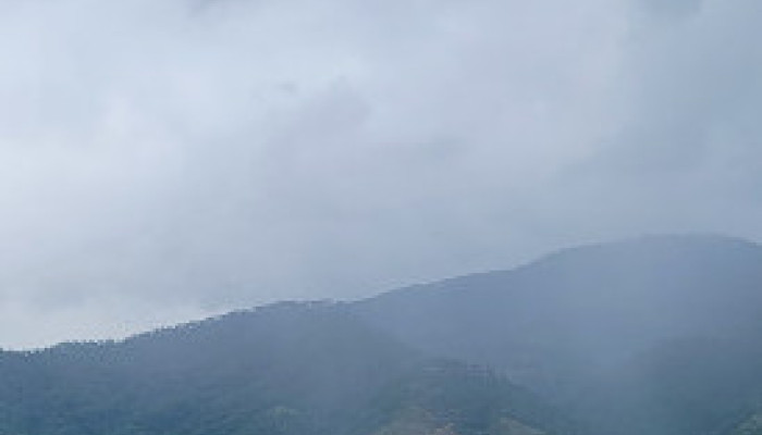 Tell me the truth, sister.