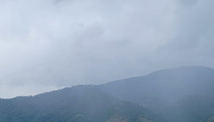 Tell me the truth, sister.