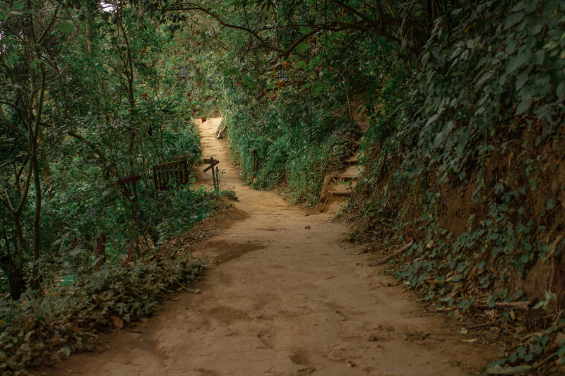 a dirt road pathway